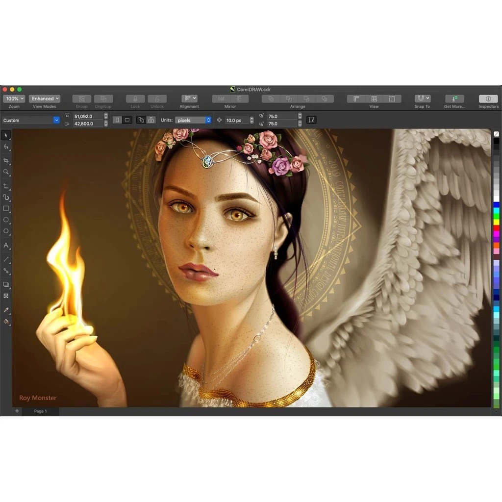 CorelDRAW Graphics Suite 2025 — feature 4